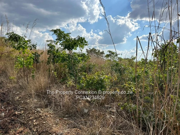 | Best Opportunity to Acquire a Good Investment Home, Buckland Estate |
